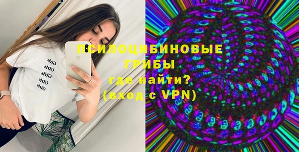 apvp Россошь