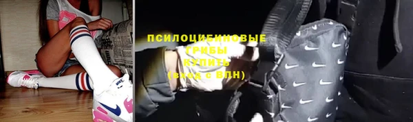 твердый Аркадак