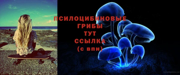 бошки Арсеньев