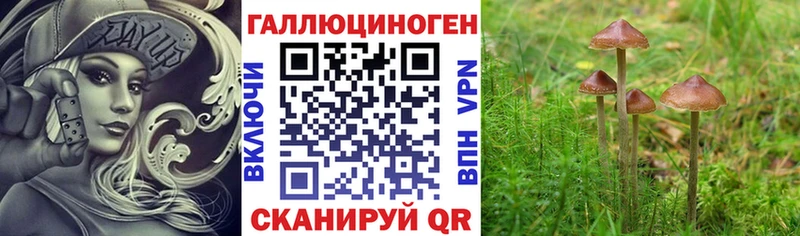 hydra как войти  Калязин  Псилоцибиновые грибы мицелий 